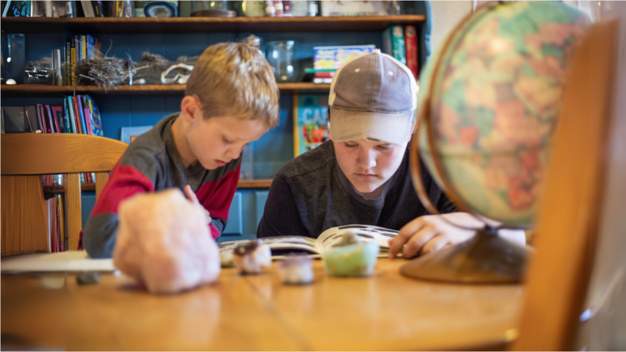 Two boys deeply focused on studying at a table, surrounded by books, educational materials, and a globe, representing a rich learning environment.